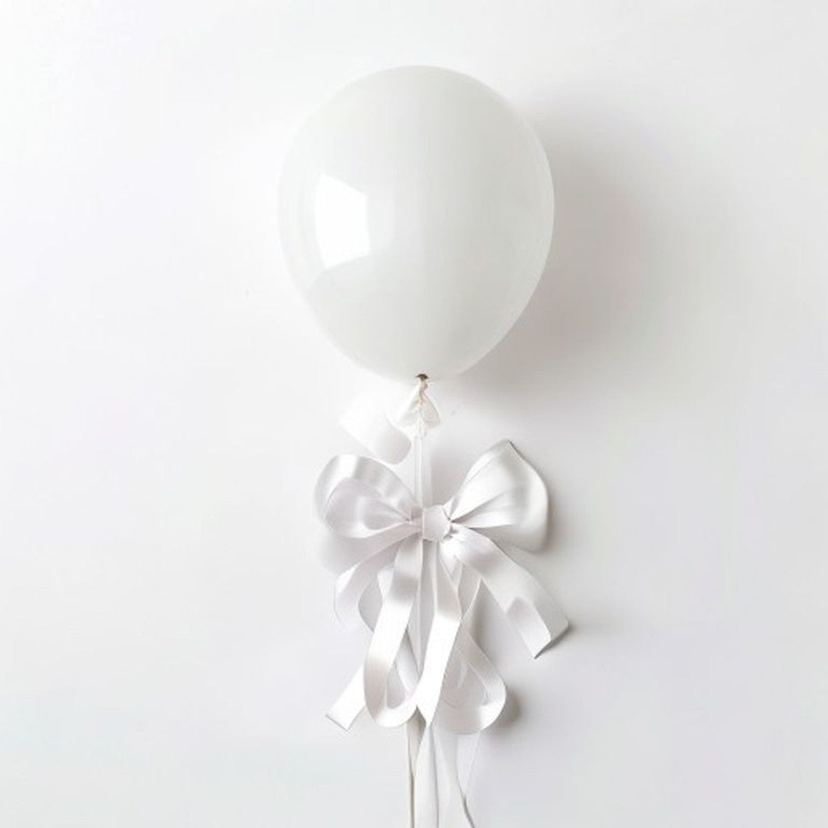Ballonverschlüsse Fix