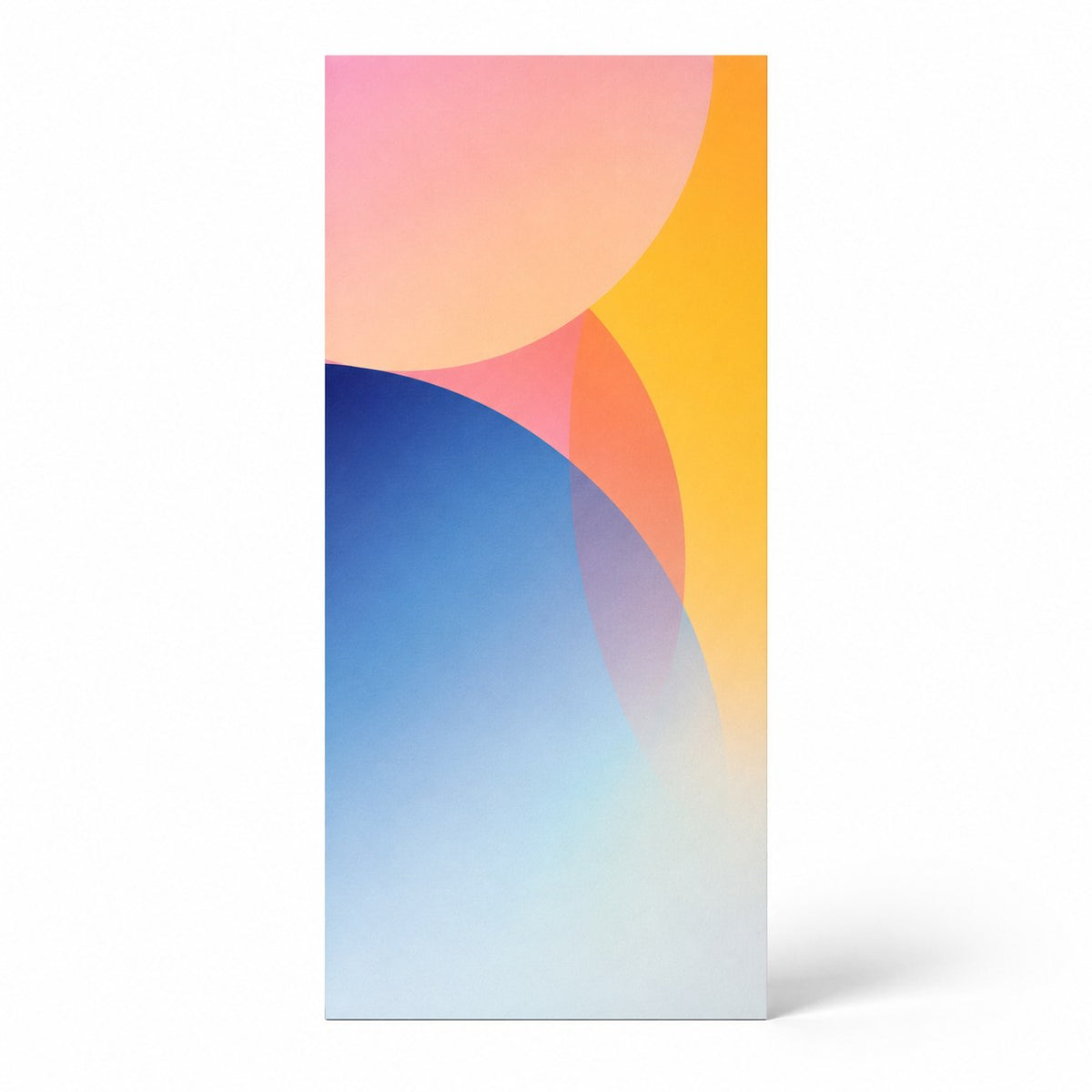 Flyer DIN lang (10,5 cm x 21,0 cm) - Topseller