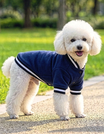 Varsity Jacket für Haustiere – Bild 3