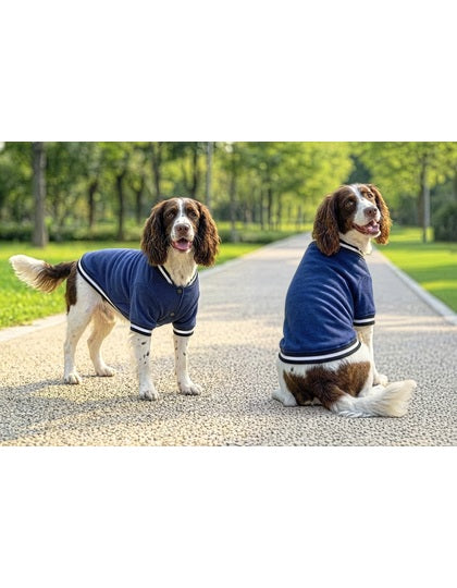 Varsity Jacket für Haustiere – Bild 6