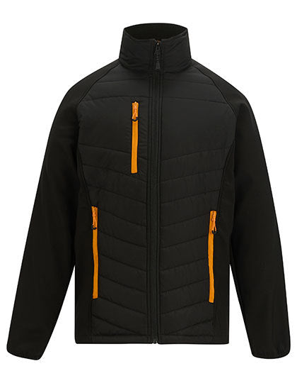 Schwarz (Black / Orange Pop)